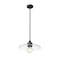 Z-Lite Paloma Pendant, 1-Light, 14 In.W x 6.25 In.H, Matte Black/Clear 821P14-MB - alternate 6